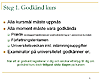 Att bli legitimerad apotekare, Ida Bergstr�m