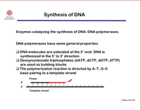DNA-struktur och DNA-replikation