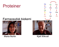 Proteiner