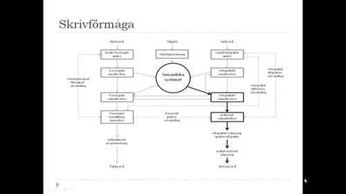 Kognitiv neuropsykologi 4