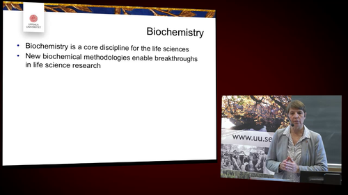 How molecules create life  a biochemists perspective