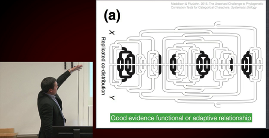 Grammar Evolves! Linguistic family trees and natural experiments in language change