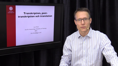 Transkription, post-transkription och translation