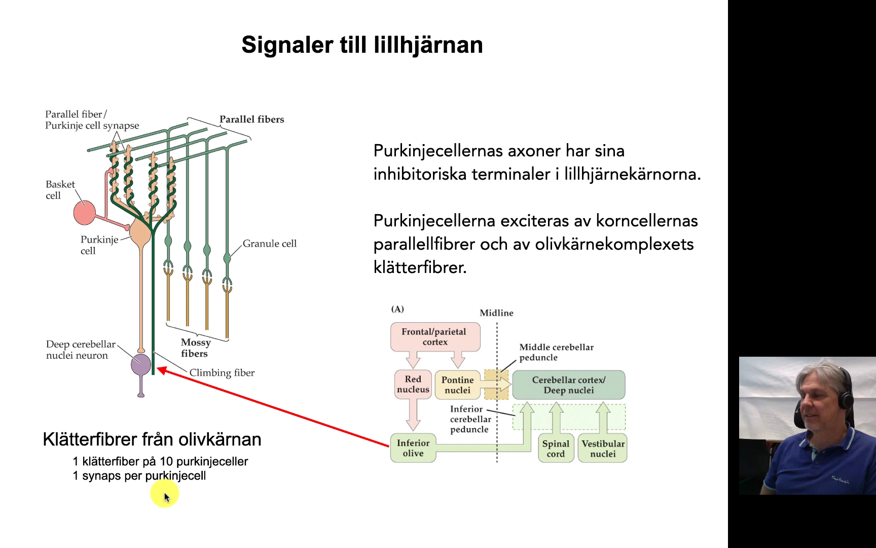 Kanaler - Medfarm Play - Uppsala Universitet