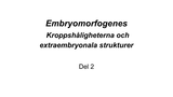 Förhandsvisning (thumbnail) från videon Embryomorfogenes Del 2