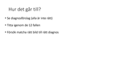Förhandsvisning (thumbnail) från videon Akut urologi med bildvernissage