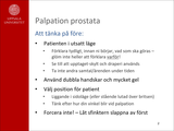 Förhandsvisning (thumbnail) från videon Kateter- och palpationsskola del 2 - Palpation av prostata och testiklar