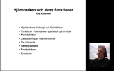 Förhandsvisning (thumbnail) från videon Hjärnbarken del1