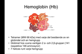 Förhandsvisning (thumbnail) från videon Respirationsfysiologi IV