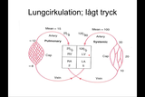 Förhandsvisning (thumbnail) från videon Respirationsfysiologi V