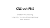 Förhandsvisning (thumbnail) från videon IBU 2 Anläggning av CNS och PNS