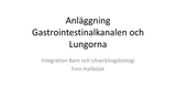 Förhandsvisning (thumbnail) från videon IBU 4 Anläggning GI & respiratoriska systemen