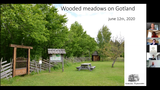 Förhandsvisning (thumbnail) från videon Wooded meadows  cultural history and biodiversity 2020-06-12