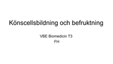 Förhandsvisning (thumbnail) från videon Könscellsbildning, meios och befruktning