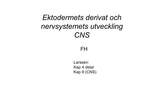 Förhandsvisning (thumbnail) från videon Ektodermets derivat och nervsystemets utveckling Del 1 CNS