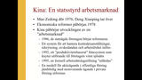Förhandsvisning (thumbnail) från videon Arbetssociologi: Föreläsning 9-3