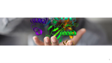 Förhandsvisning (thumbnail) från videon Computer-Aided Drug Design (CADD) - datorövning