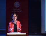 Förhandsvisning (thumbnail) från videon Installationsföreläsningar 2010 - Gerd Holmström, För tidig födsel - ett hot mot synen?