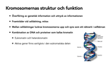 Förhandsvisning (thumbnail) från videon kromosomernas struktur och funktion -Weronica Ek