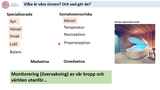Förhandsvisning (thumbnail) från videon 3FF024 - Sinnesfyiologi del 1