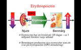 Förhandsvisning (thumbnail) från videon Sören Lehmann - Kliniska aspekter på hematopoes och benmärgssjukdomar Del 2