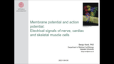 Förhandsvisning (thumbnail) från videon Membrane potential and action potential: Electrical signals of nerve, cardiac and skeletal muscle cells