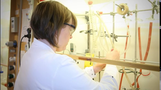 Förhandsvisning (thumbnail) från videon Uppsalaresearchers about the Nobel Prize laureates in Chemistry 2010 and their visit to Uppsala University, Sweden