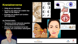 Förhandsvisning (thumbnail) från videon Kranialnervernas radiologi