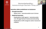 Förhandsvisning (thumbnail) från videon Prostatacancer del 3/3