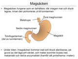 Förhandsvisning (thumbnail) från videon 12 Sjukdomar i matspjÃ¤lkningssystemet del 3