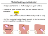 Förhandsvisning (thumbnail) från videon 12 Sjukdomar i matspjÃ¤lkningssystemet del 4