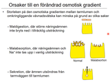 Förhandsvisning (thumbnail) från videon 12 Sjukdomar i matspjÃ¤lkningssystemet del 5