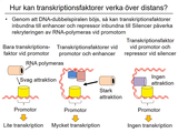 Förhandsvisning (thumbnail) från videon 05 Genetiska sjukdomar del 3 - (5)