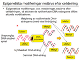 Förhandsvisning (thumbnail) från videon 05 Genetiska sjukdomar del 3 - (6)