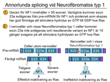 Förhandsvisning (thumbnail) från videon 05 Genetiska sjukdomar del 3 - (7)