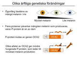 Förhandsvisning (thumbnail) från videon 02 Sjukdomar och deras orsaker del 2 (2)