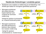Förhandsvisning (thumbnail) från videon 02 Sjukdomar och deras orsaker del 2 (3)