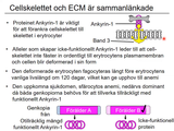 Förhandsvisning (thumbnail) från videon 02 Sjukdomar och deras orsaker del 2 (4)