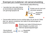Förhandsvisning (thumbnail) från videon 02 Sjukdomar och deras orsaker del 2 (8)