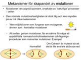 Förhandsvisning (thumbnail) från videon 04 Gentiska sjukdomar del 2 (3)