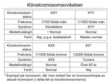 Förhandsvisning (thumbnail) från videon 04 Gentiska sjukdomar del 2 (7)