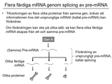 Förhandsvisning (thumbnail) från videon 04 Gentiska sjukdomar del 2 (8)