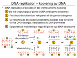Förhandsvisning (thumbnail) från videon 06 Genetiska sjukdomar del 4 (2)