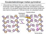 Förhandsvisning (thumbnail) från videon 06 Genetiska sjukdomar del 4 (4)
