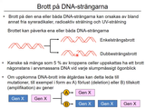 Förhandsvisning (thumbnail) från videon 06 Genetiska sjukdomar del 4 (5)
