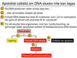 Förhandsvisning (thumbnail) från videon 06 Genetiska sjukdomar del 4 (7)