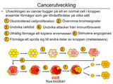 Förhandsvisning (thumbnail) från videon 10 Cancersjukdomar (2)