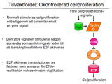 Förhandsvisning (thumbnail) från videon 10 Cancersjukdomar (4)