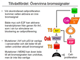 Förhandsvisning (thumbnail) från videon 10 Cancersjukdomar (5)