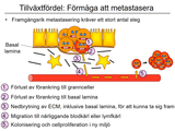 Förhandsvisning (thumbnail) från videon 10 Cancersjukdomar (7)
